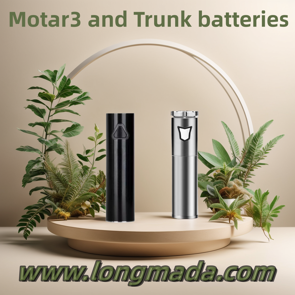 How to Choose Between Longmada Trunk Battery and Motar3 Battery